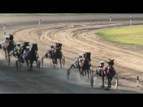 Trka "Farmtech-Ljutomer" 24.7.2022. Saphir A.T. Dejan Katanić