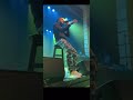 Rotimi In Concert Love Riddim LIvE