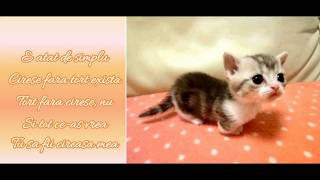 The Motans - Mr. Tort | Lyrics