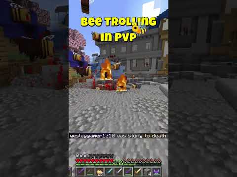 Bee Trolling in Minecraft PVP