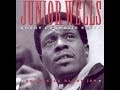 Junior Wells - Snatch It Back & Hold It