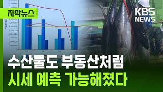 [자막뉴스] 수산물도 부동산처럼…시세 예측 가능해졌다 / KBS 2026.04.27