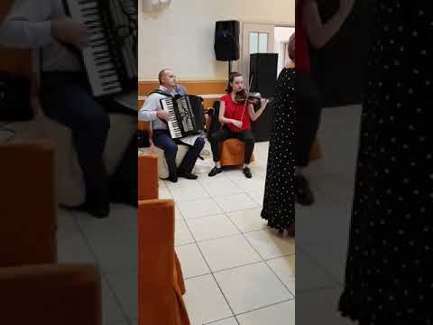 Dana Rotaru - Hora lui Ninel