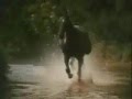 Black Beauty Theme Galloping Home Denis King 1972