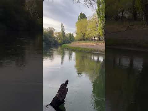 Gaiman, Chubut. Río Chubut #rio #calm #birdsounds