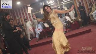 ZaBi Malik ( New song ) Sarkar Husan Ki Ayi Hai (D