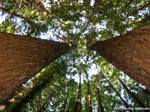 Catalin Anton & Sovve-Holding on to Us (Intro Mix)