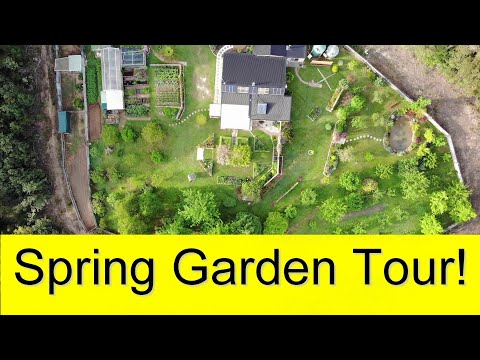 A YEAR in our GARDEN - The BEST of Spring (October)