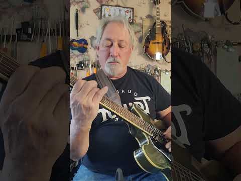 Epiphone ES-335 LG Semi-Hollow Electric Guitar image 15