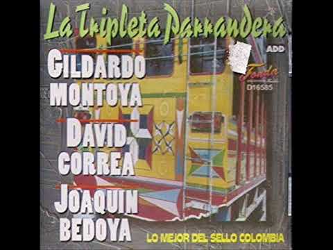 David Correa-El Viejo Parrandero