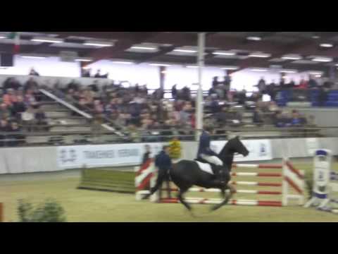 Hirtentanz und Abendtanz - Münster-Handorf 2017