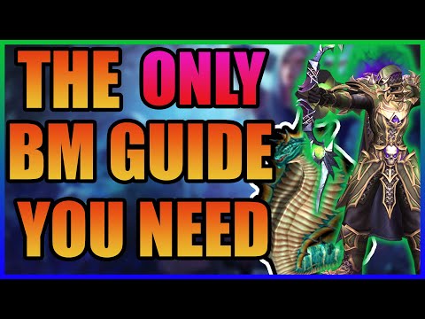 In Depth Beastmastery Hunter PvP Guide | The War Within Season 2