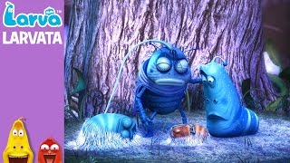 Download lagu Larvatar - Mini Series from Animation LARVA mp3 Download lagu Larvatar - Mini Series from Animation LARVA mp3
