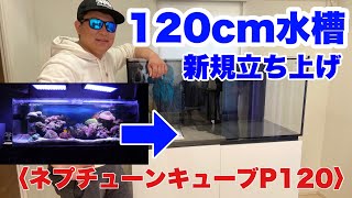 【海水魚動画】ついに立ち上げ！！念願の新品水槽〈ネプチューンキューブP120〉＃227