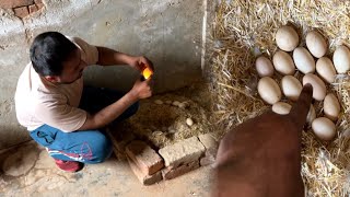 Download lagu Duck dy andyea di cndleng kri🕯 mp3 Download lagu Duck dy andyea di cndleng kri🕯 mp3