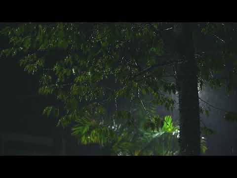 🎧 Soothing Gentle Spring Rain in the Old Park at Night  / 10 Hours for Relaxation and Sleep