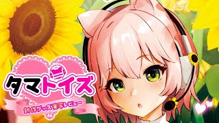 💗実写レビュー💗タマトイズ8月新作グッズを一挙大公開です♡♡♡【超解説】