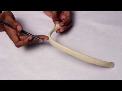 Thorax Nr. 3: Rippen (Teil 1)