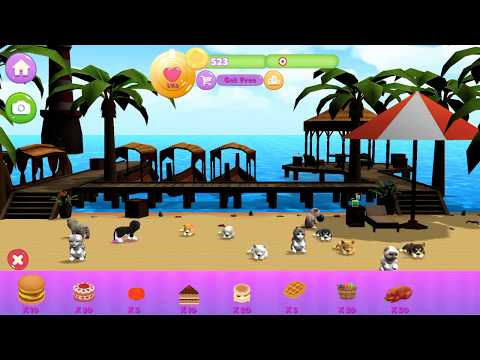 Kitty And Puppy Parkour