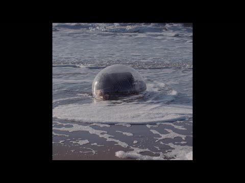 WHYBE - Ice On My Soul (Official Video)