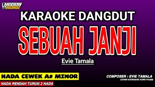Download lagu SEBUAH JANJI KARAOKE DANGDUT - EVIE TAMALA mp3