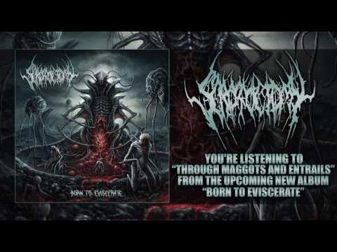 SCROTOCTOMY - THROUGH MAGGOTS AND ENTRAILS (NEW SONG 2017) [GORE HOUSE PRODUCTIONS]