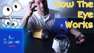 How the Eye Works
