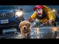 I SAVED A Dog