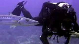 You&#39;re Beautiful (&amp;) I Cry Everyday