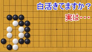 この白取れるのか！？どう見ても生きてそうに見えますが・・【囲碁】