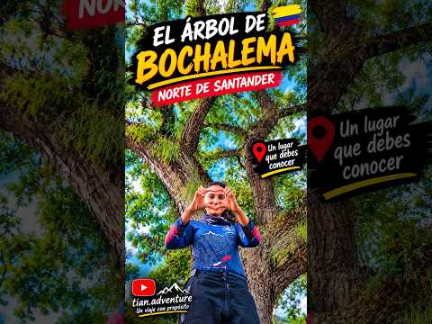 EL ARBOL BENDITO de BOCHALEMA | NORTE DE SANTANDER #nortedesantander