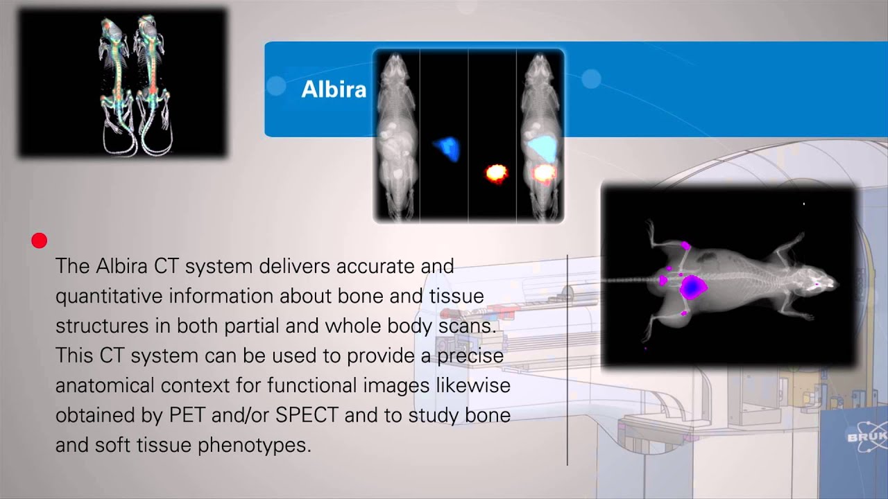 Albira - Multi-Modality Imaging