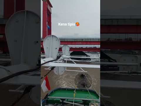 Thumbnail for Proses Penggolongan Kapal Batu Bara/TB.KARYA PACIFIC 2255/BG.PACIFIC STAR 8711#batubara#palembang