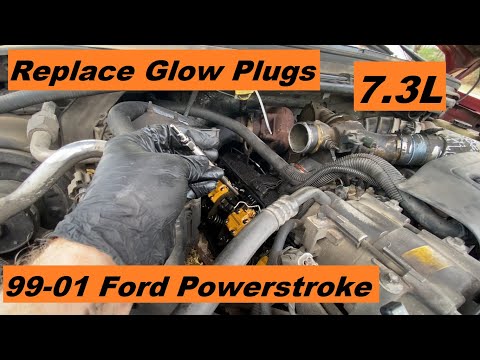 Replace Glow Plugs 7.3 Diesel Ford Super Duty Powerstoke 99 00 01 02 03 1999 2000 2001 2002 2003