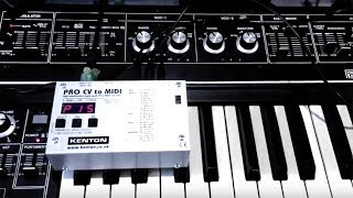 Video thumbnail for kenton cv to midi by Memetune Studio