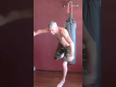 This master calls his style “Eagle and Snake”. What would you call it?