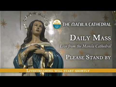 Daily Mass at the Manila Cathedral - November 05, 2021 (12:10pm)