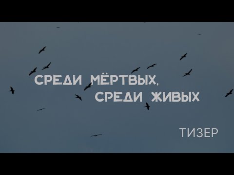 Трейлер