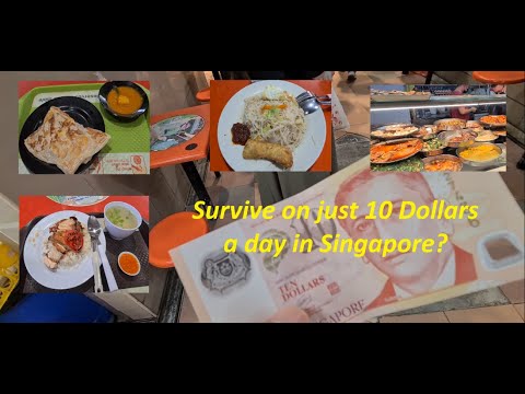 Singapore Living: Can I survive on just 10 dollars a day ?