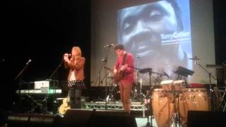 Dolphins: Beth Orton - Terry Callier Memorial Concert 28-11-12 (O2 Academy, London)