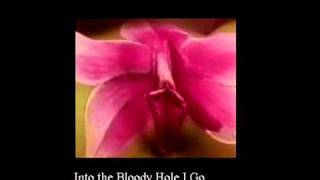 Placement   Into the Bloody Hole I Go