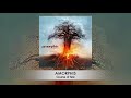 On METAL ARENA, we like ...."Course of fate" by AMORPHIS