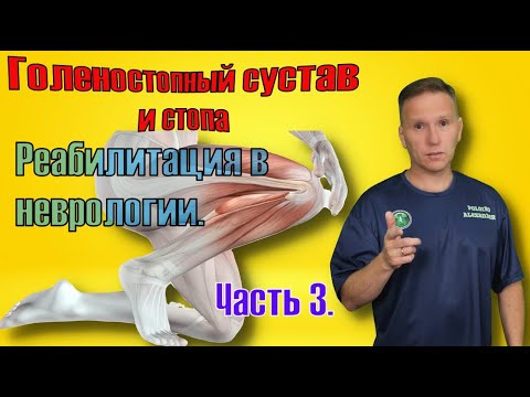 Почему подворачивается стопа при ходьбе после инсульта. Часть 3.