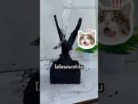 พ่อ ทิ้งสิ่งของนี้ไปเถอะ