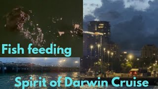 Spirit Of Darwin Cruise Part -3 With Bat fish feeding