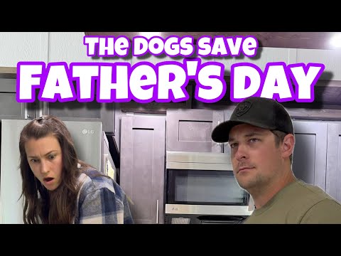 ¡Los perros salvan el Día del Padre!