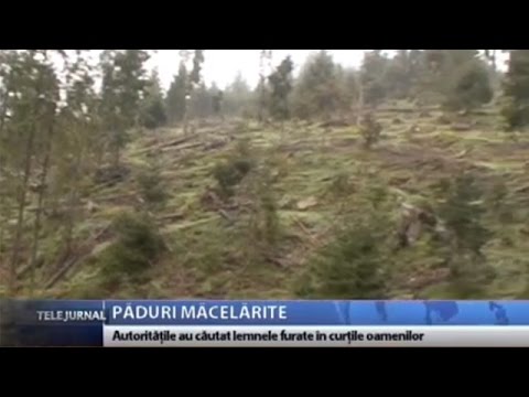 Păduri măcelărite