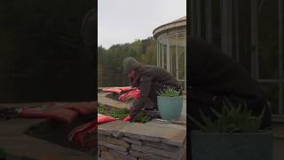 HERBS & VEGGIES We’re Planting #herbs #vegetables ables
