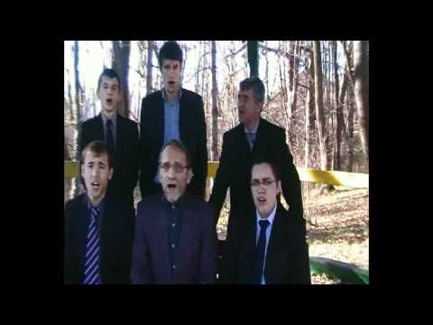 Fii dar lumina unde esti - Grupul Cadmiel in natura.mp4