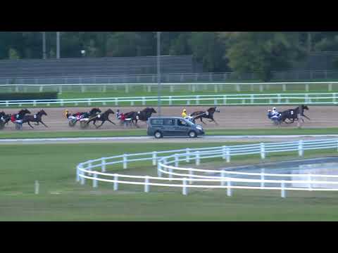 2018.09.07. 02. futam - F.E.G.A.T. FÉRFI AM. EB I. FUTAM - WELCOME TO BUDAPEST HP.